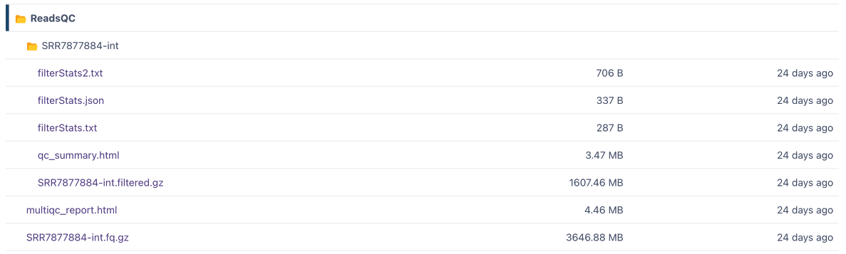 Download section dropdown with clickable file names for downloading the workflow outputs.