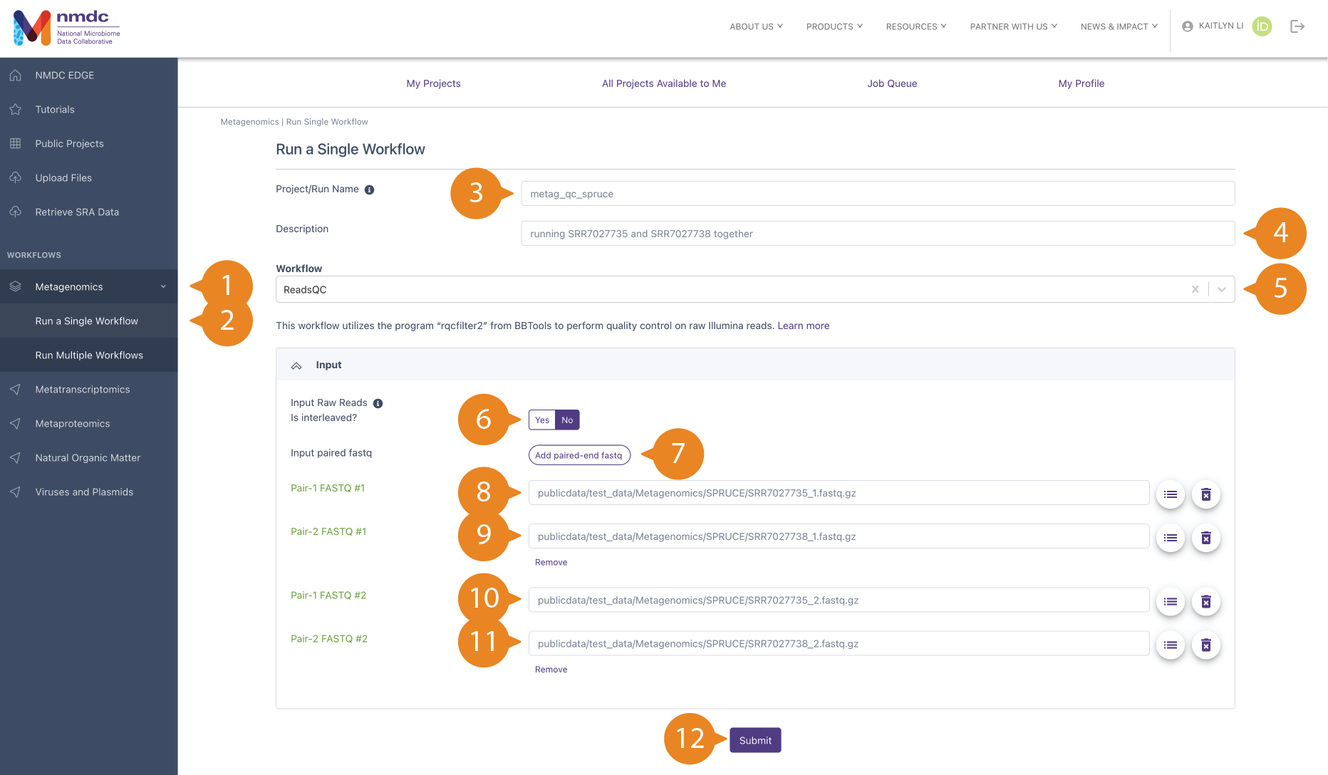 "Run a Single Workflow" page with 2 sets of paired FASTQ file inputs for ReadsQC