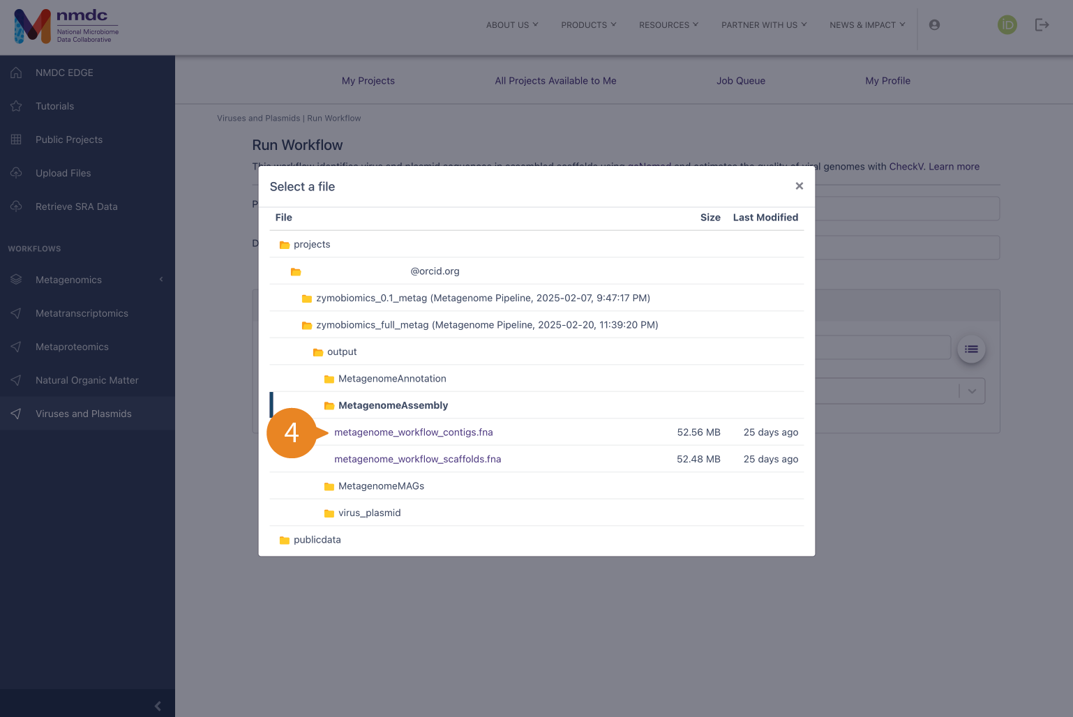 File selection pop-up for Viruses and Plasmids.