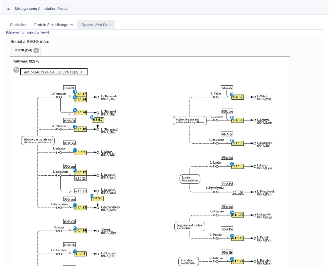 Metagenome Annotation Result Opaver Web Path KEGG maps (tab 3).