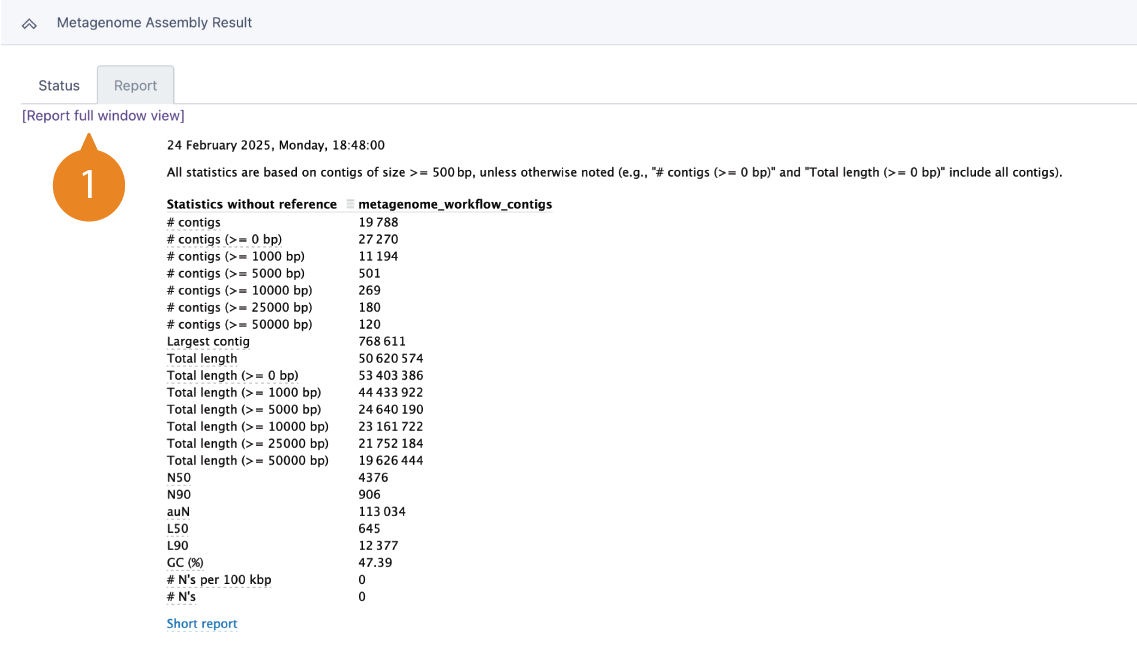 Report tab of the Metagenome Assembly Results section. Shows statistics of the assembled contigs.