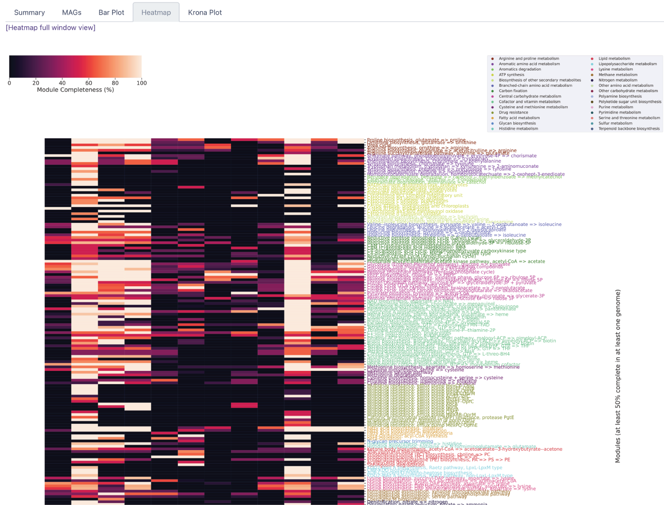 MAGs Result module completeness heatmap (tab 4).