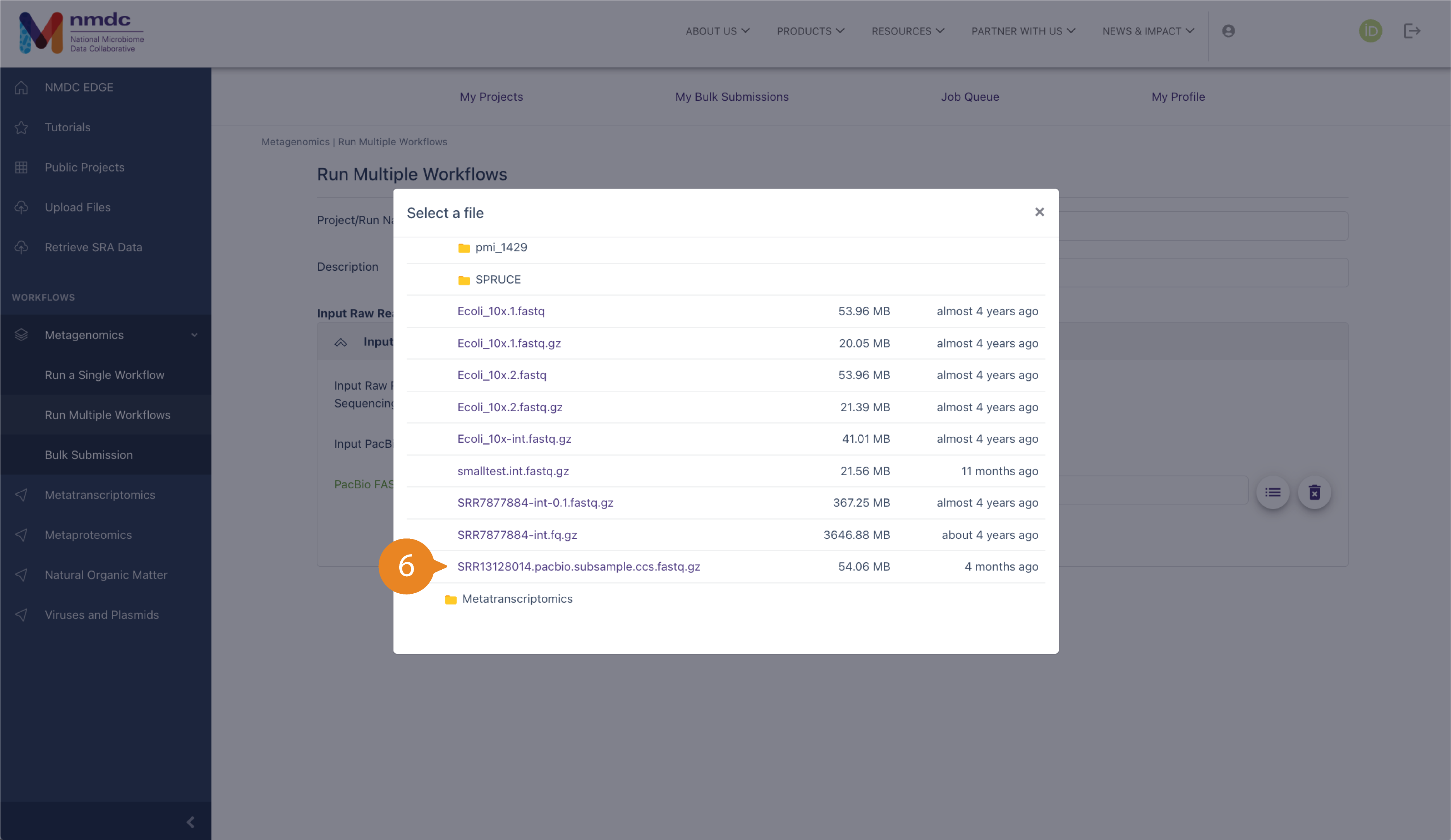 A pop-up window titled "Select a file" over a grayed out background for the workflow submission page. It shows a file structure for public metagenomic test data.