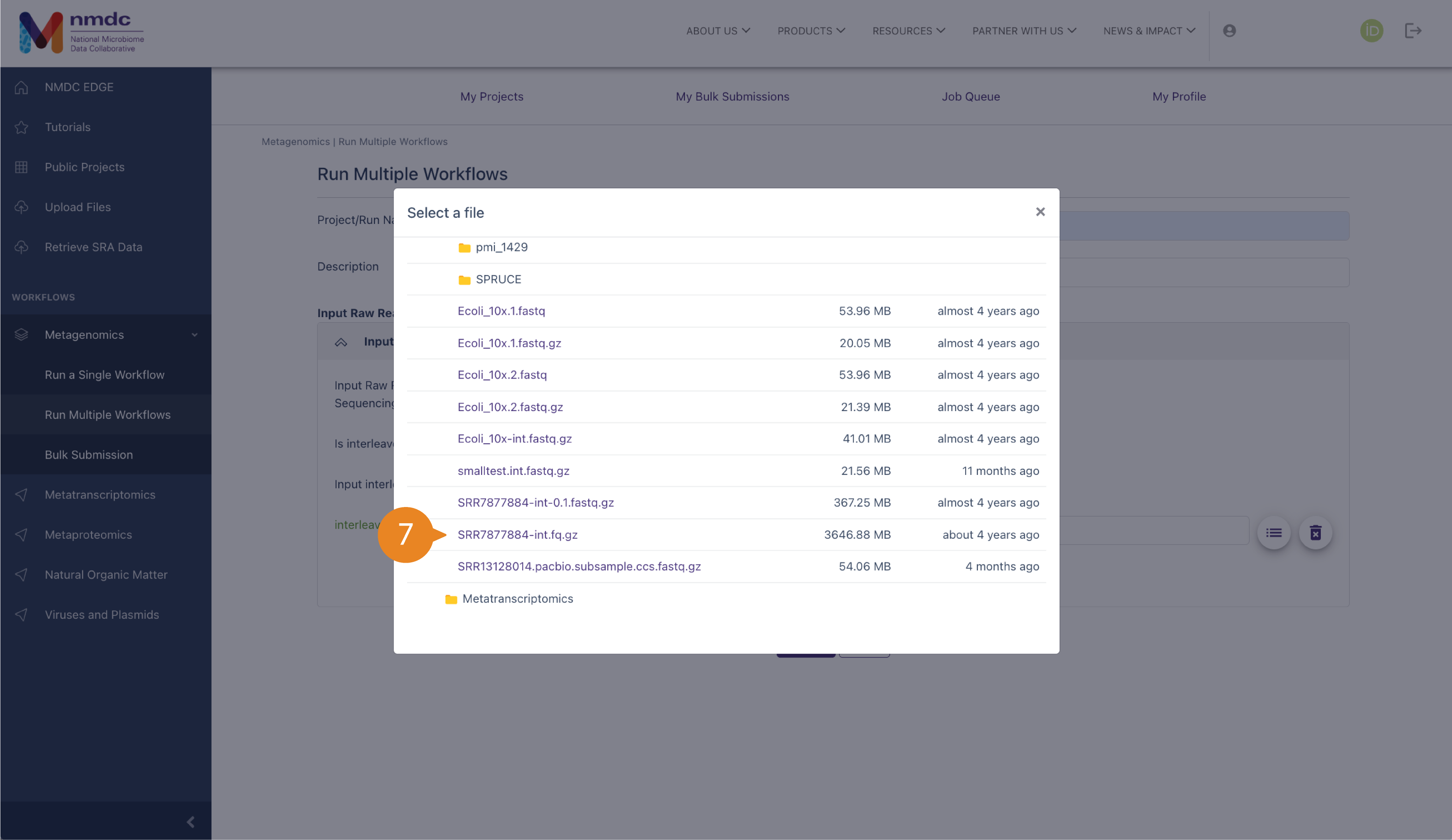 A pop-up window titled "Select a file" over a grayed out background for the workflow submission page. It shows a file structure for public metagenomic test data.