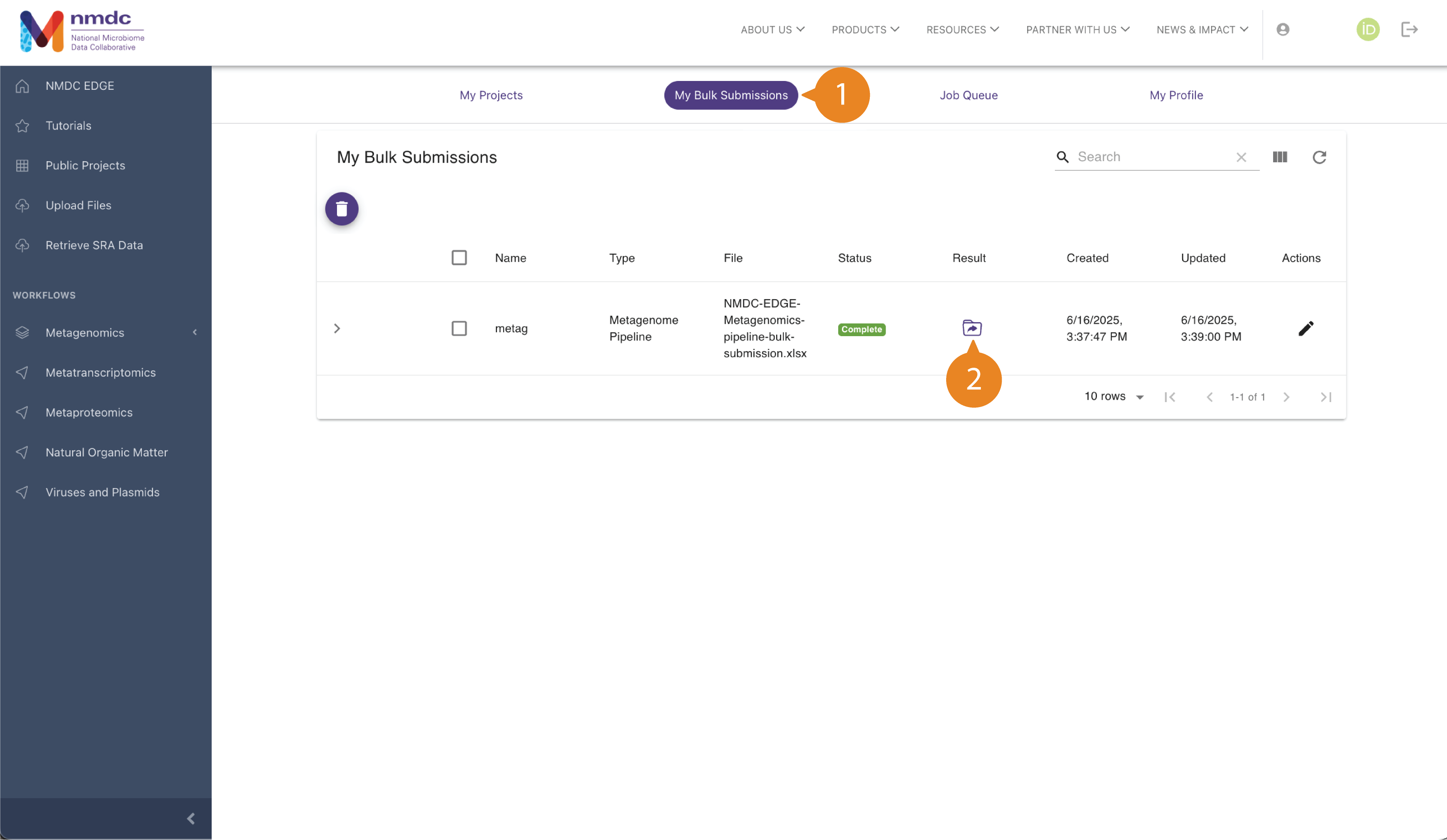 Workflow result page for a Bulk Submissions run with the "Multiple Workflows" option.