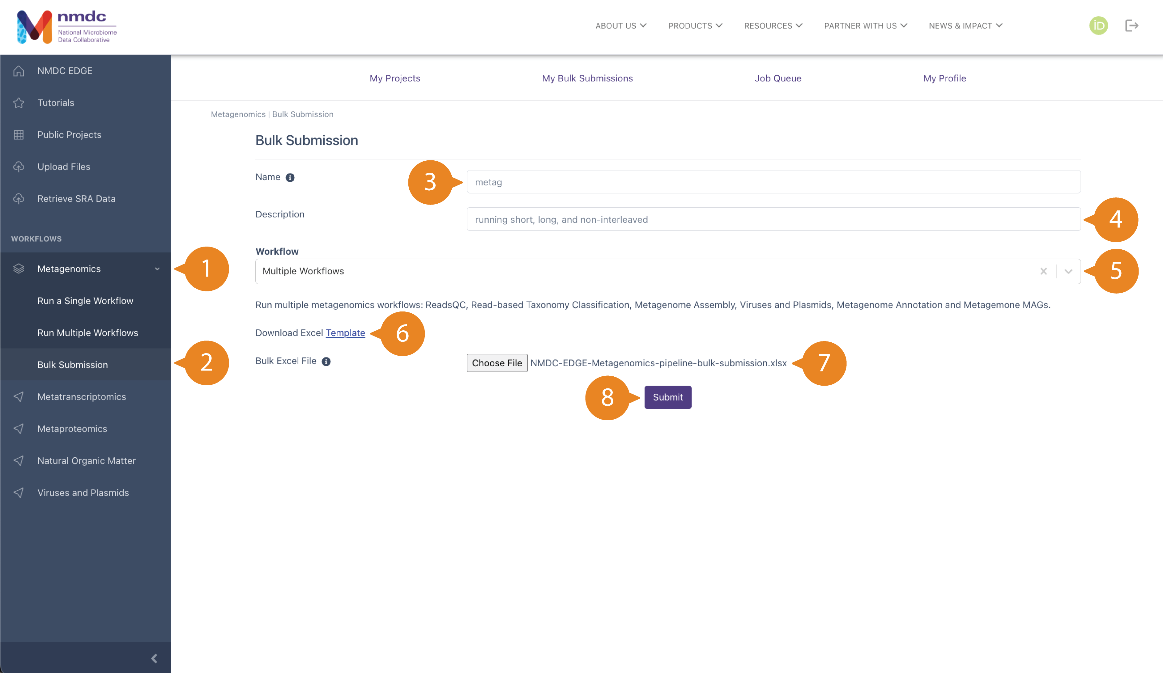 "Run Bulk Submission" submission page with bubbles labeled 1 through 8 pointing at different clickable buttons and typeable fields.