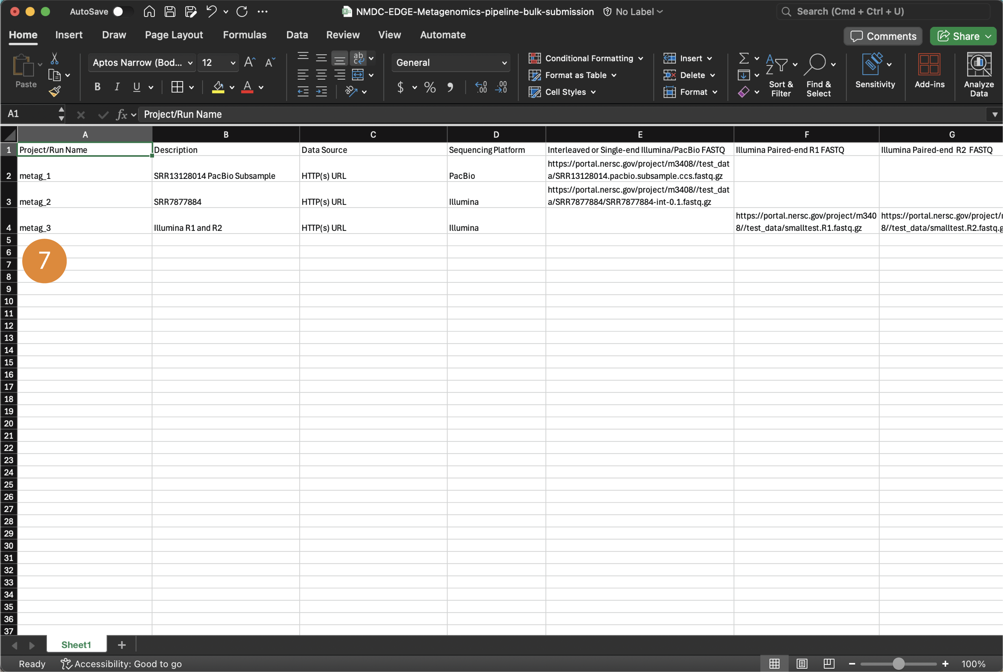 Example Excel Spreadsheet that is filled to run a Bulk Submission.